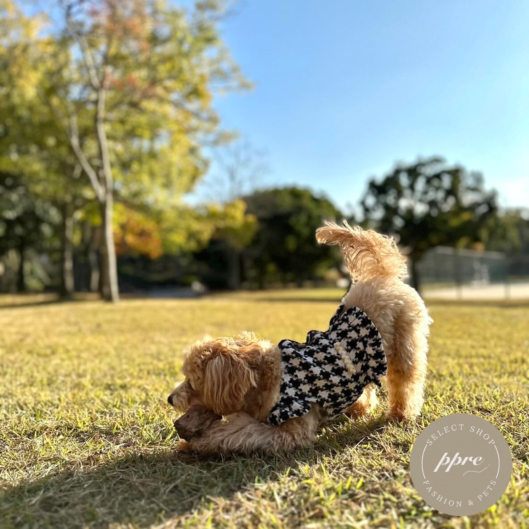 エレガント ツイード トップス 犬服 ドッグウエア 秋冬 千鳥柄 ボタン