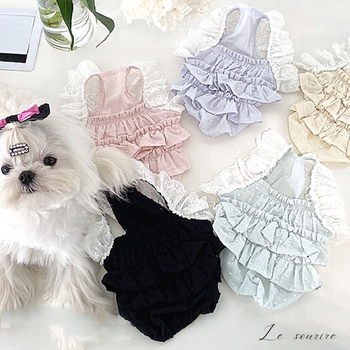 予約【№B01524】ドットモチーフ チュチュワンピ