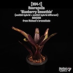 Neoregelia 'Blueberry Smoothie'〔ネオレゲリア〕N54-1