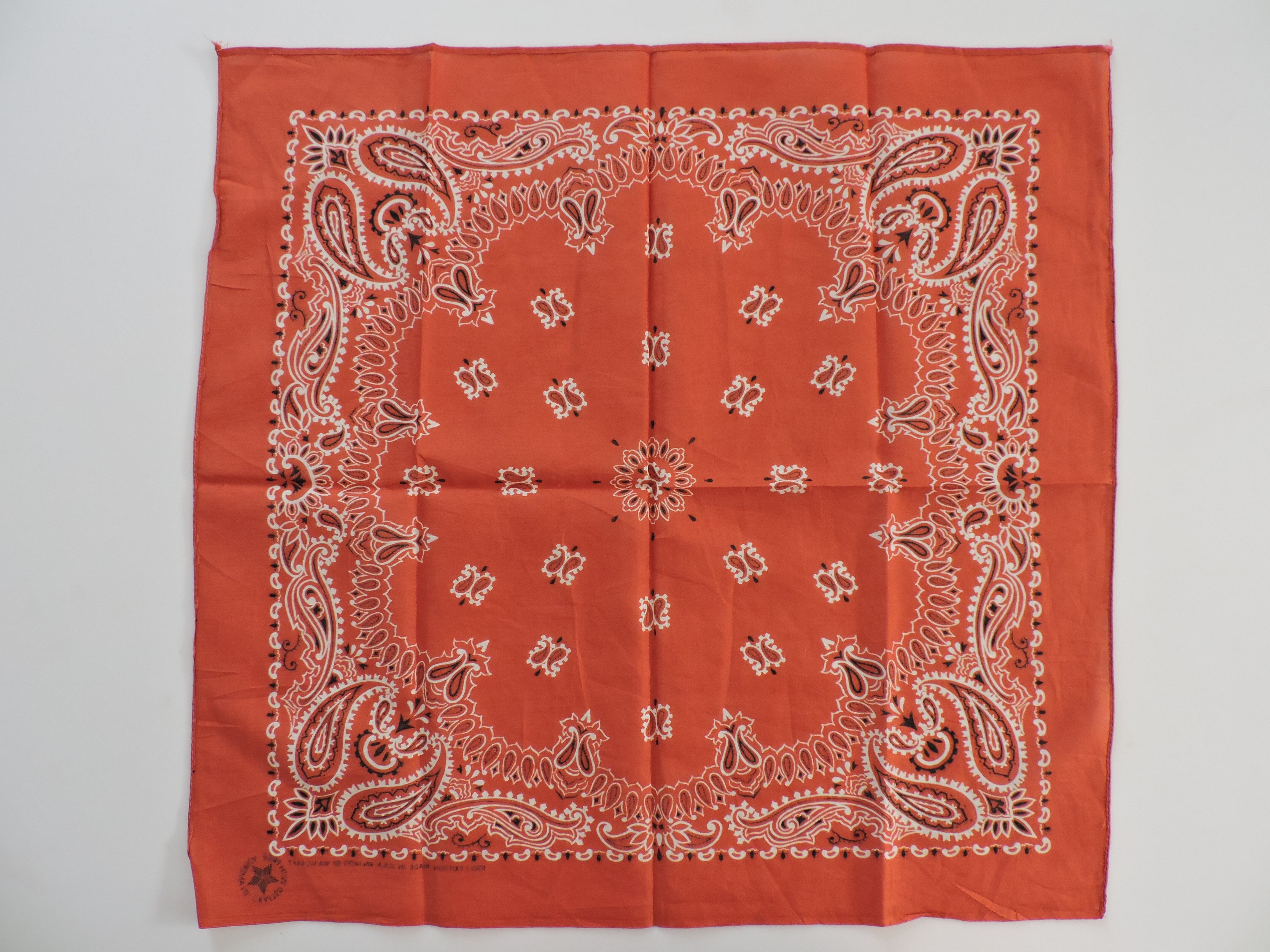 Deadstock】80‐90s RN14193(WAMCRAFT社) PAISLEY ヴィンテージバンダナ