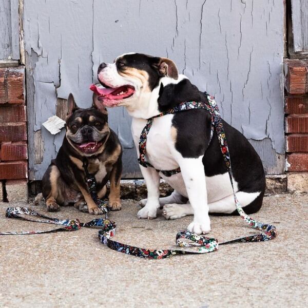 WOLFGANG MAN & BEAST /VintageBlack LEASH ( S size ) | dogtown.store