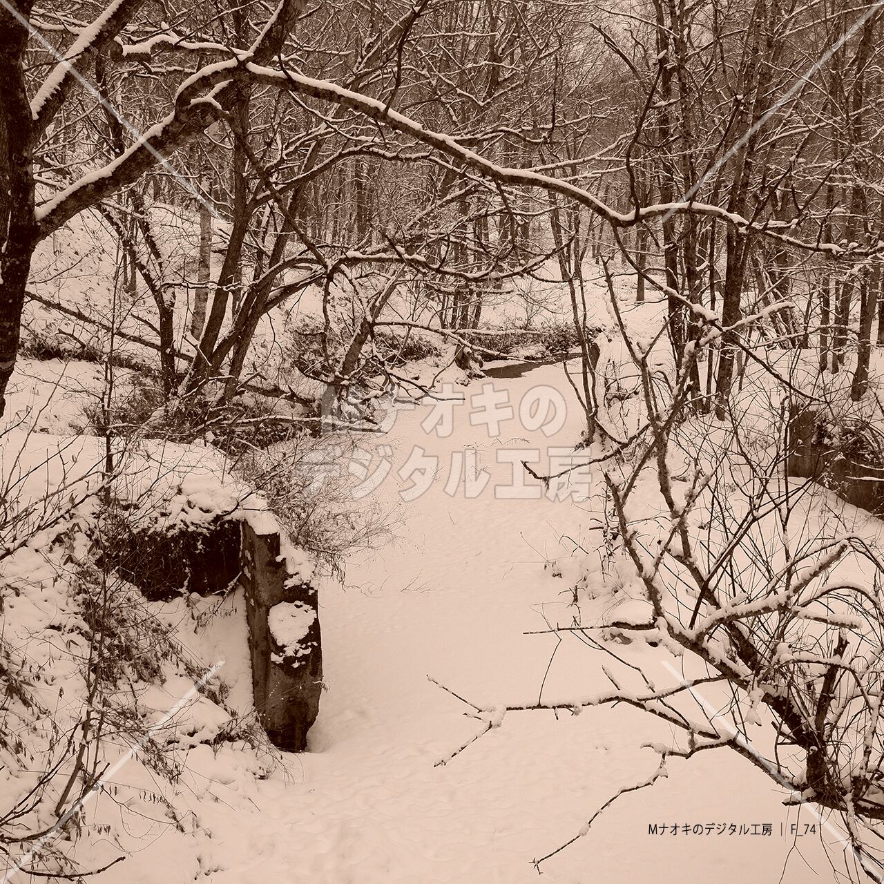 結氷した川と雪を被った枯れ木 セピア　 Frozen river and dead tree covered with snow Sepia