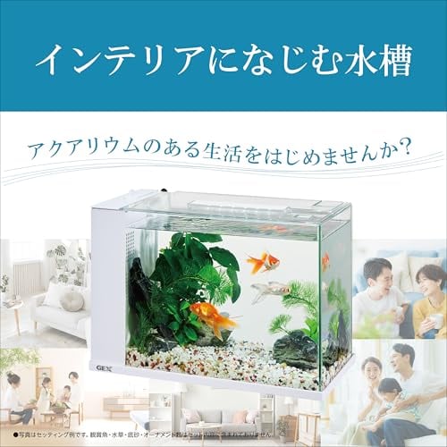 ジェックス GEX アワーズホワイト アクアリウム用インテリア水槽 誰