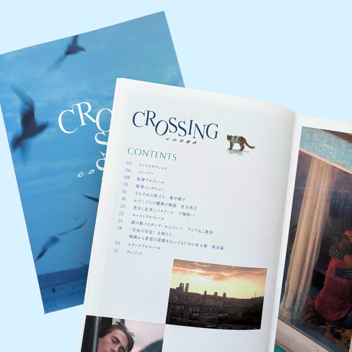 CROSSING 心の交差点』パンフレット | ミモザフィルムズ