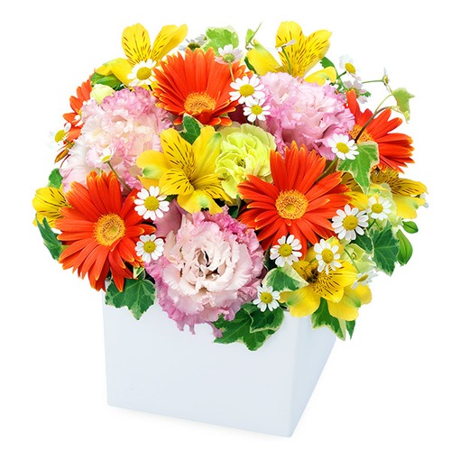 4月オススメ商品⑥　アレンジメント