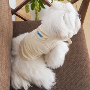【予約】[ togethering ] Soft Cooling Sleeveless｜Butter