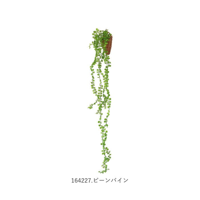 光触媒 観葉植物 通販 フェイクグリーン おしゃれ 壁掛け フェイク