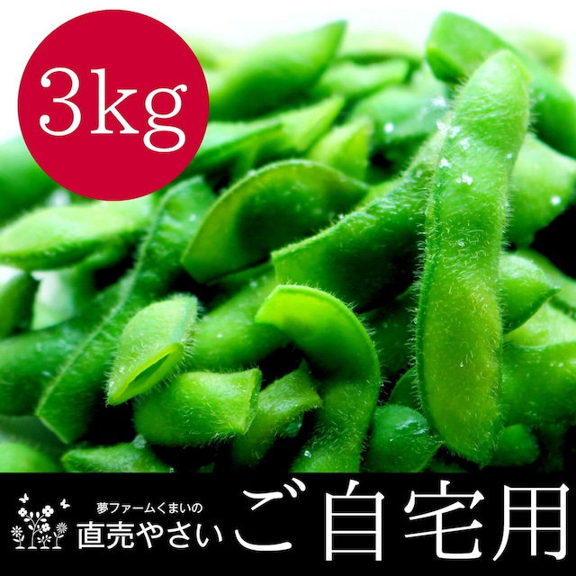 枝豆 おいしい新潟の夏野菜 阿賀野産 訳あり 3ｋｇ 送料無料