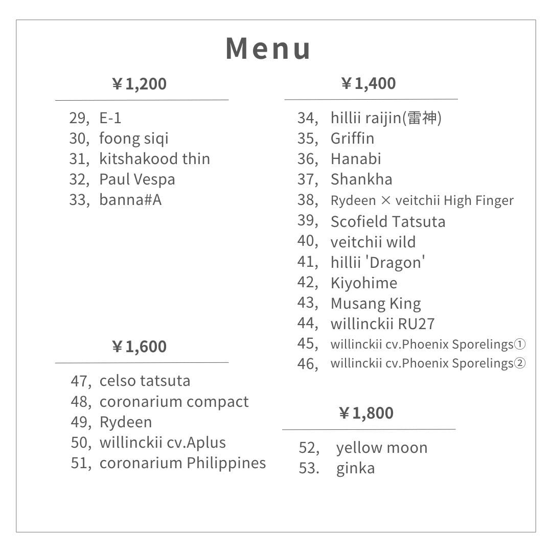 胞子] lemoinei レモイネイ ビカクシダ | Pay ID