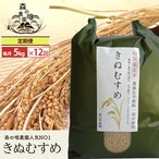 【玄米・定期便】きぬむすめ5キロ／月一回×12カ月