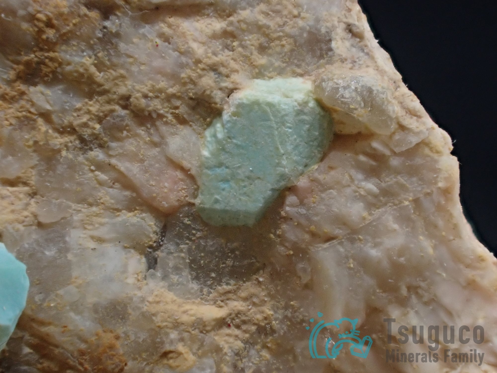 ターコイズ（アパタイト仮晶） トルコ石 アメリカ TM-652 | つぐ