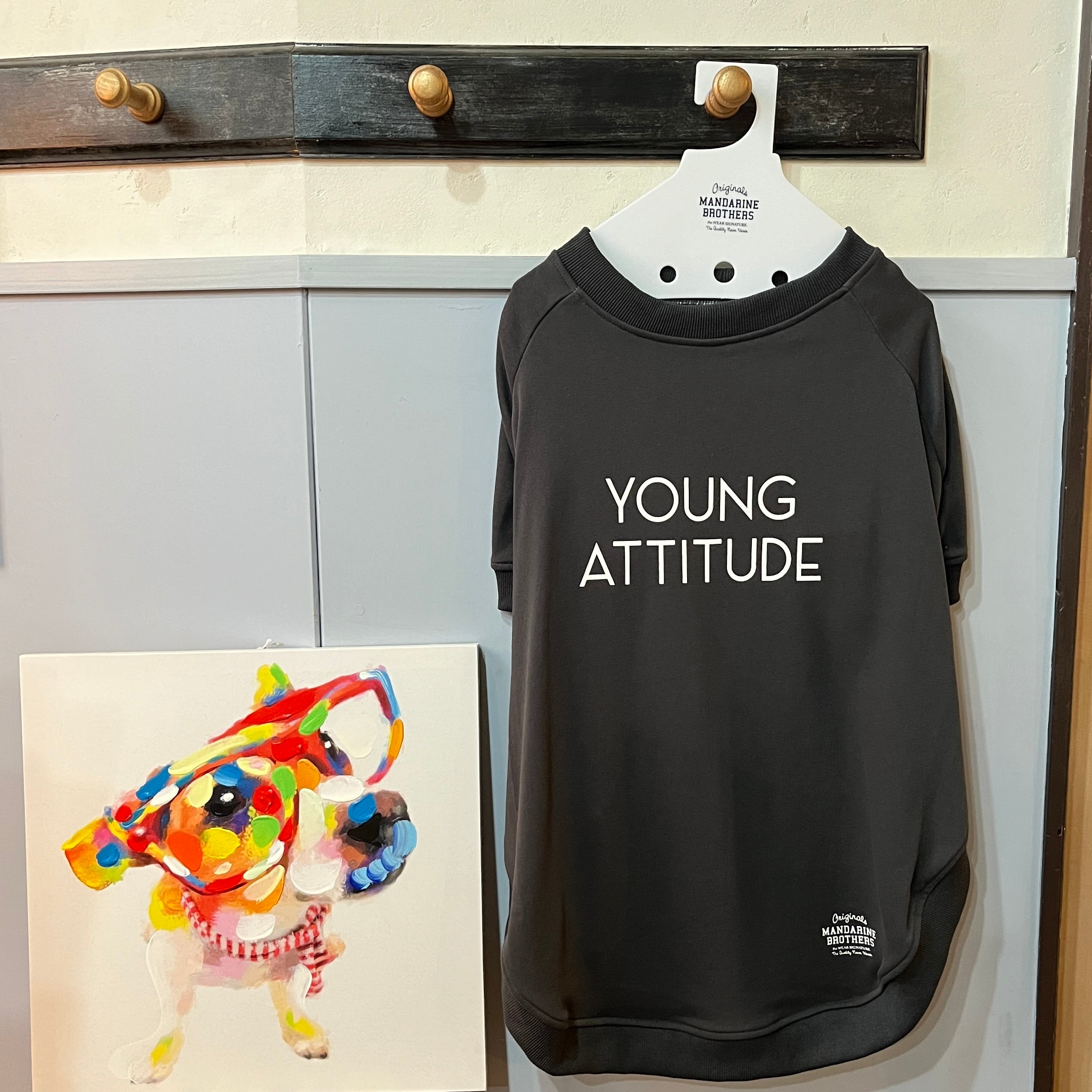 サイズ4L.5L【MB YOUNG SWEAT】犬服　大型犬　ドッグウェア　大型犬服　MANDARINE BROTHERS