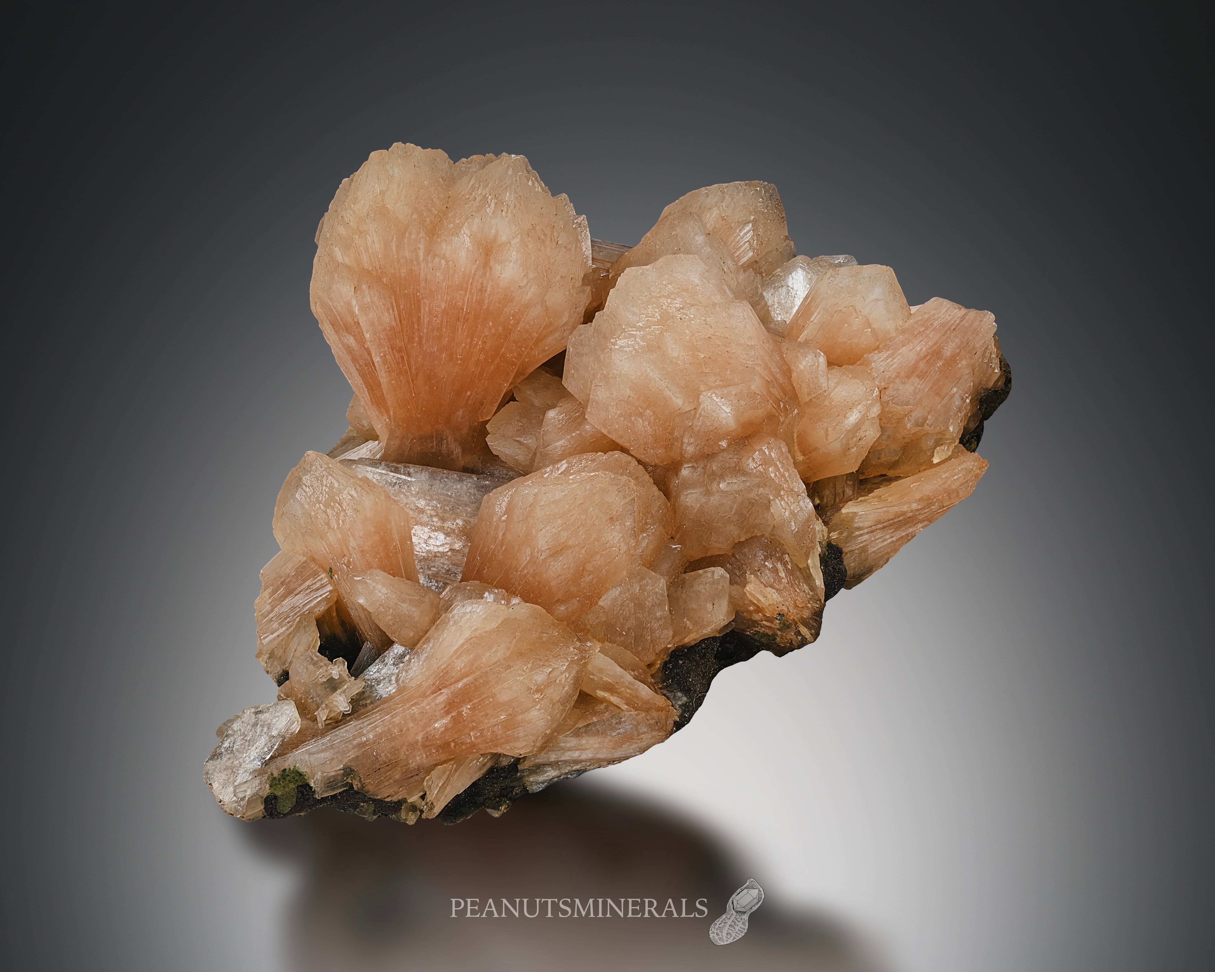スティルバイト【Stilbite】インド産 | PEANUTS MINERALS