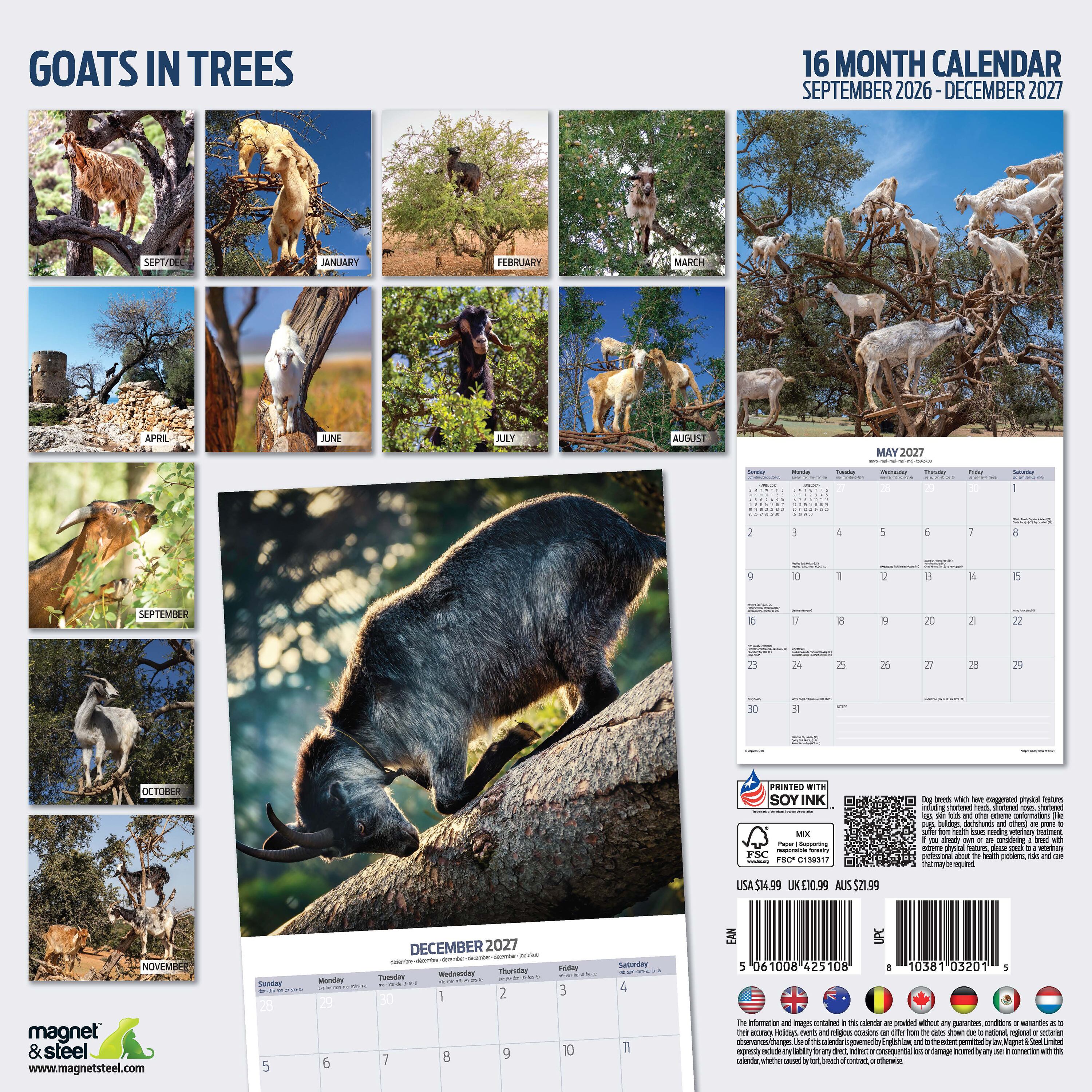 【2027年版】英国製カレンダー【Goats inTrees】 2027年版