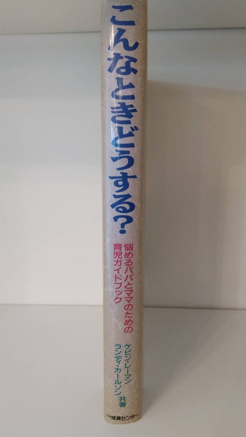 こんなときどうする？　悩めるパパとママのための育児ガイドブックの商品画像2