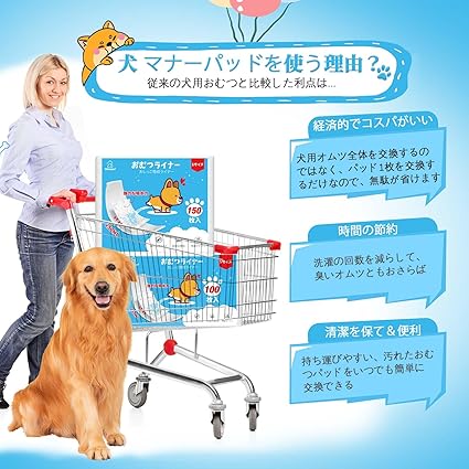 送料無料・まとめ買い×12個セット】第一衛材 P・ワン マナーパッド