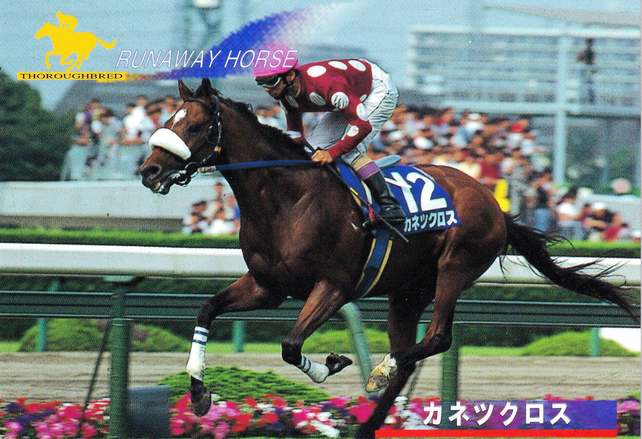 カネツクロス「サラブレッドカード 96年上半期版」No.141 | カード