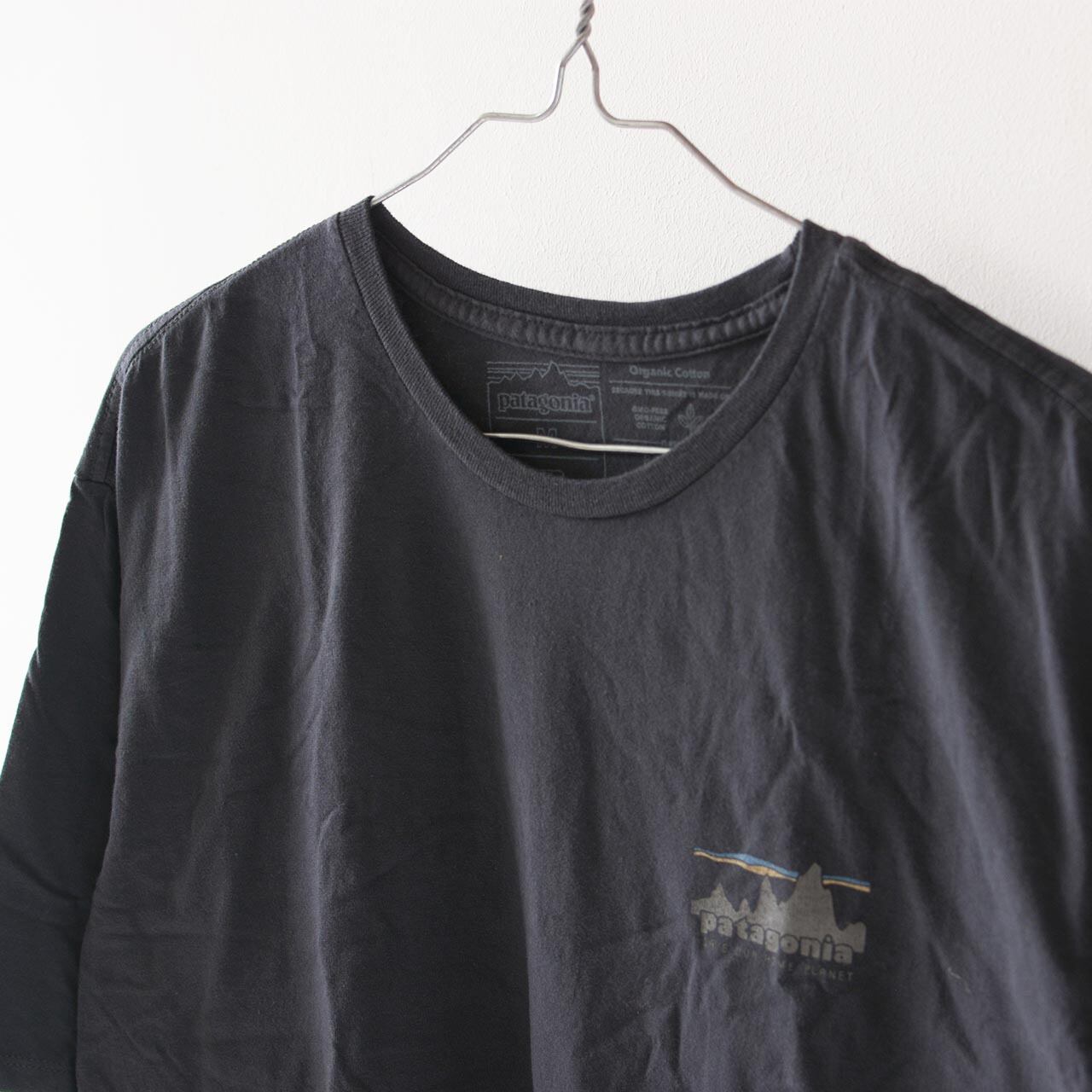 patagonia organic cotton T-shirt 初期モデル