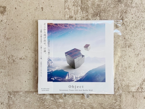 17歳とベルリンの壁 / Object