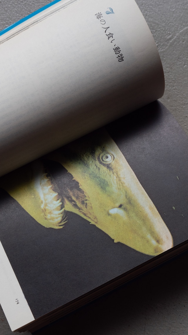 "海" '70s vintage Book