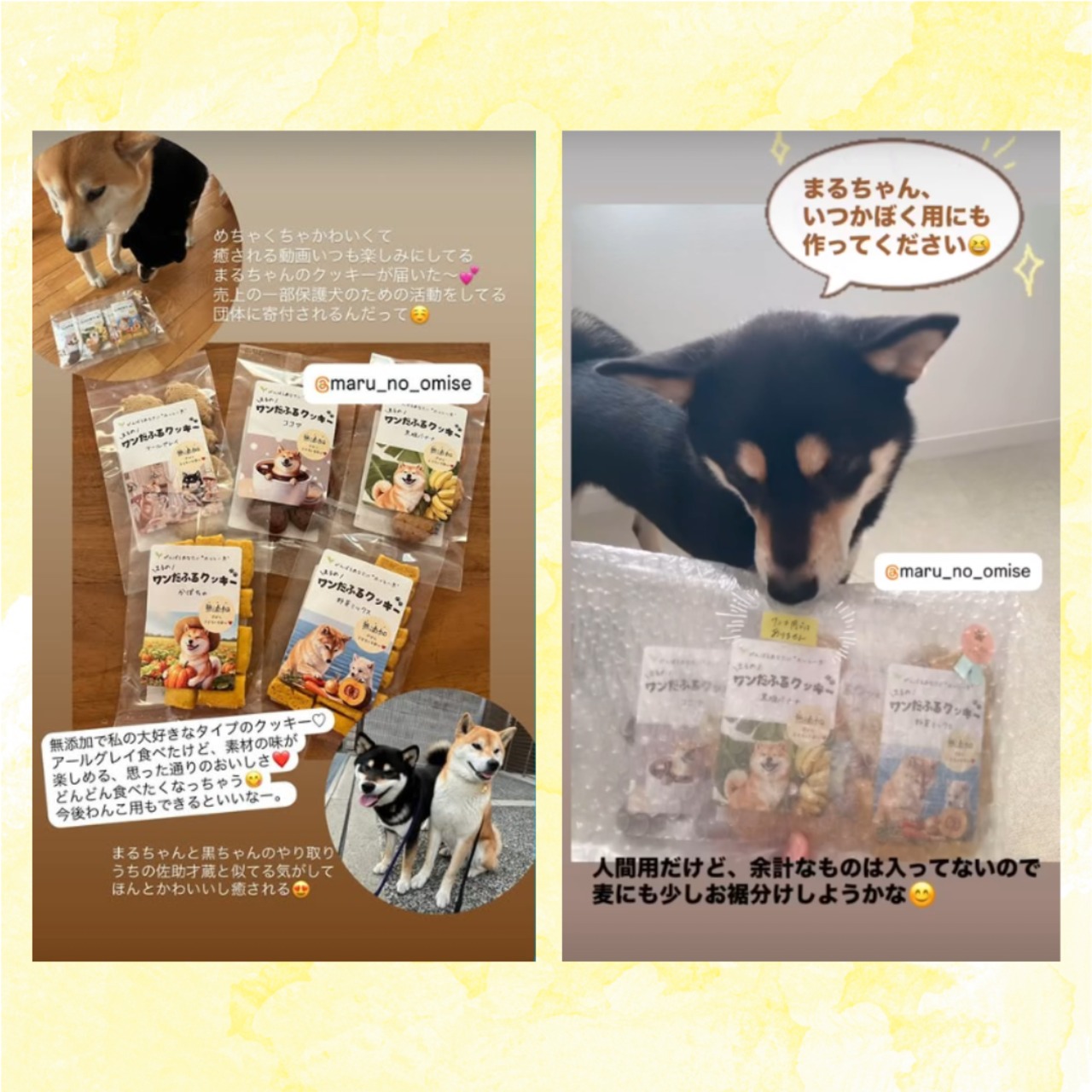 【数量限定！】クリスマス限定ver まるのワンだふるクッキー 5種よくばりセット ※ワンコ用ではありません