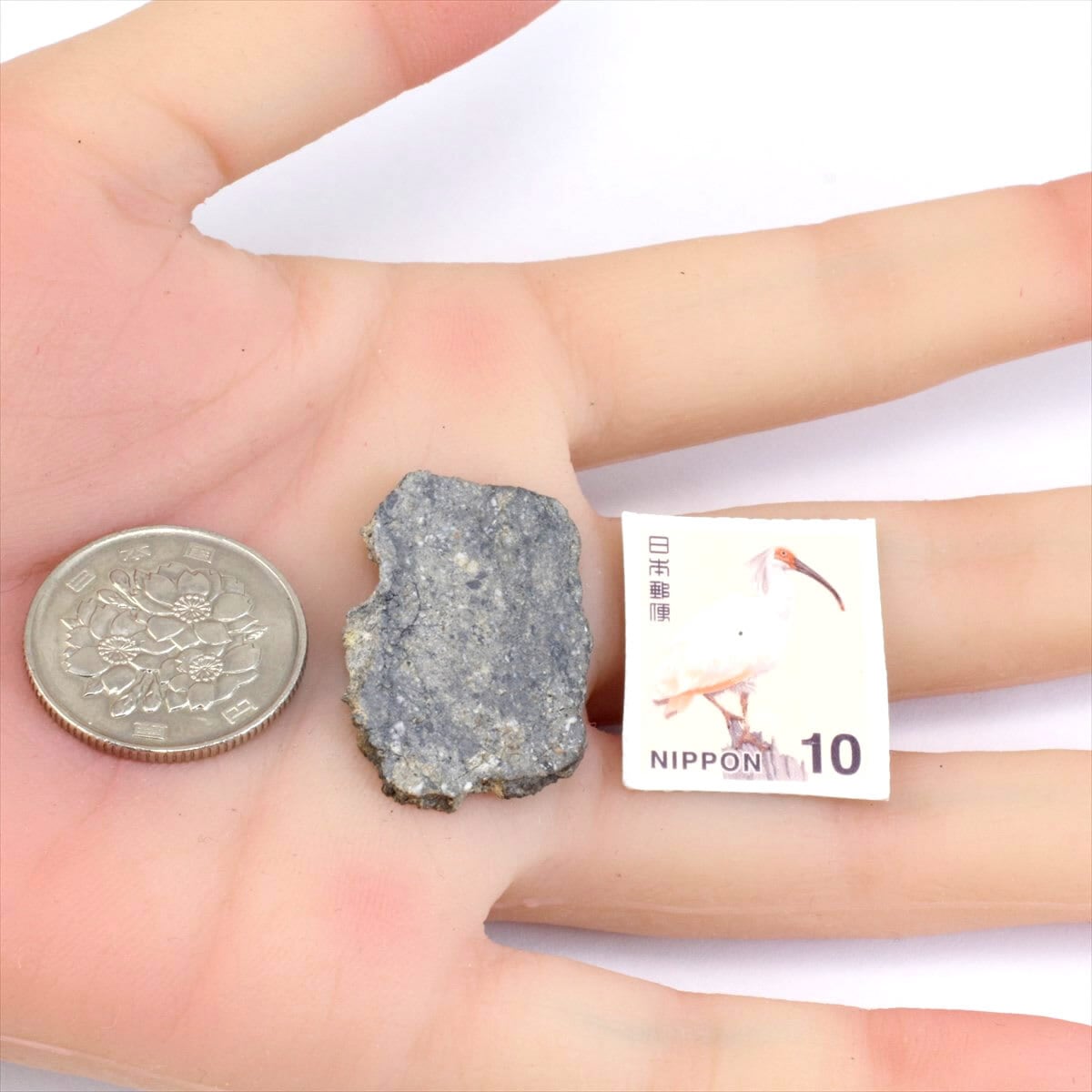 Dhofar485 隕石 2.5g ホワルダイト エイコンドライト 石質隕石 標本