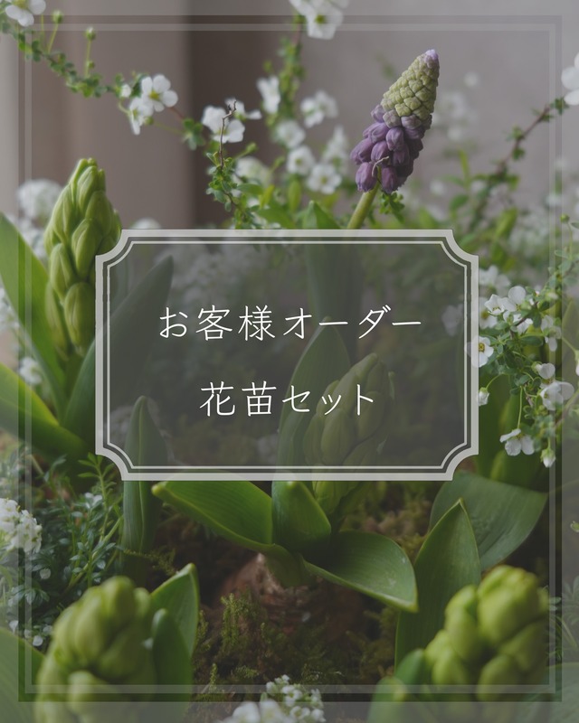 【お客様オーダー花苗セット】追加ご注文
