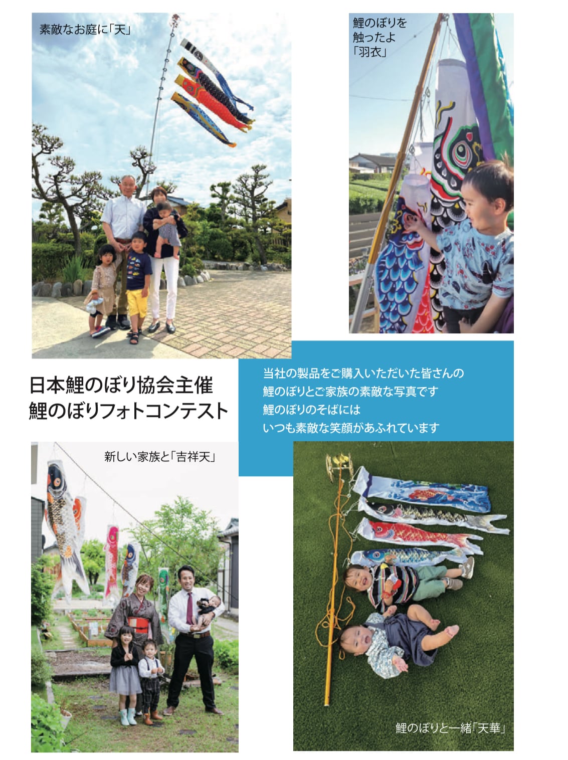 万能スタンド付】鯉のぼり 祥雲 1.2m超撥水 6点(吹流し+鯉3匹+矢車+