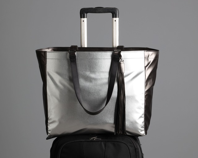 Carry on Bag Bronze × Silver
