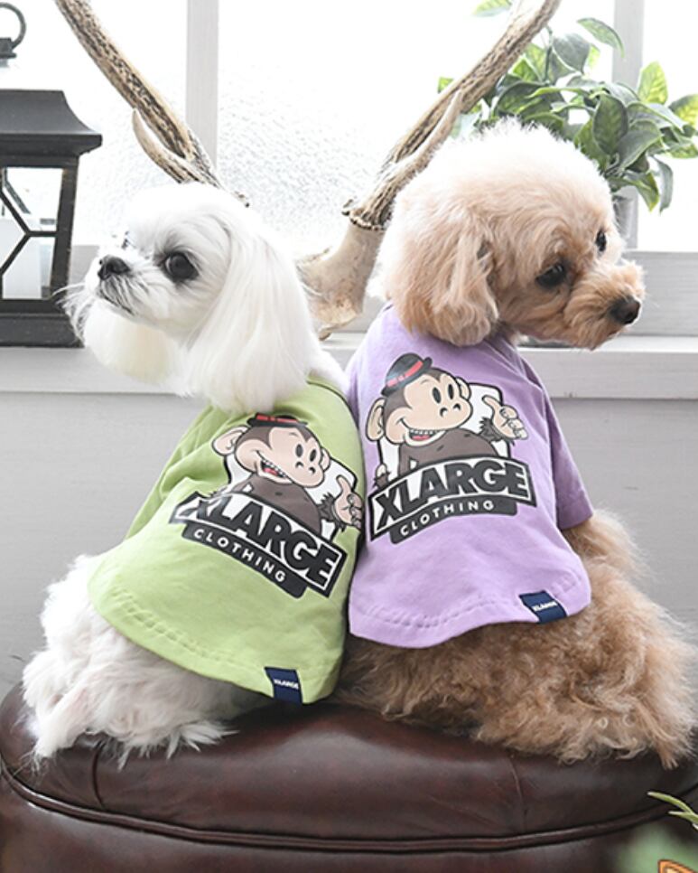 XLARGE（エクストラージ）キースT/犬服 | Canecarino 犬服