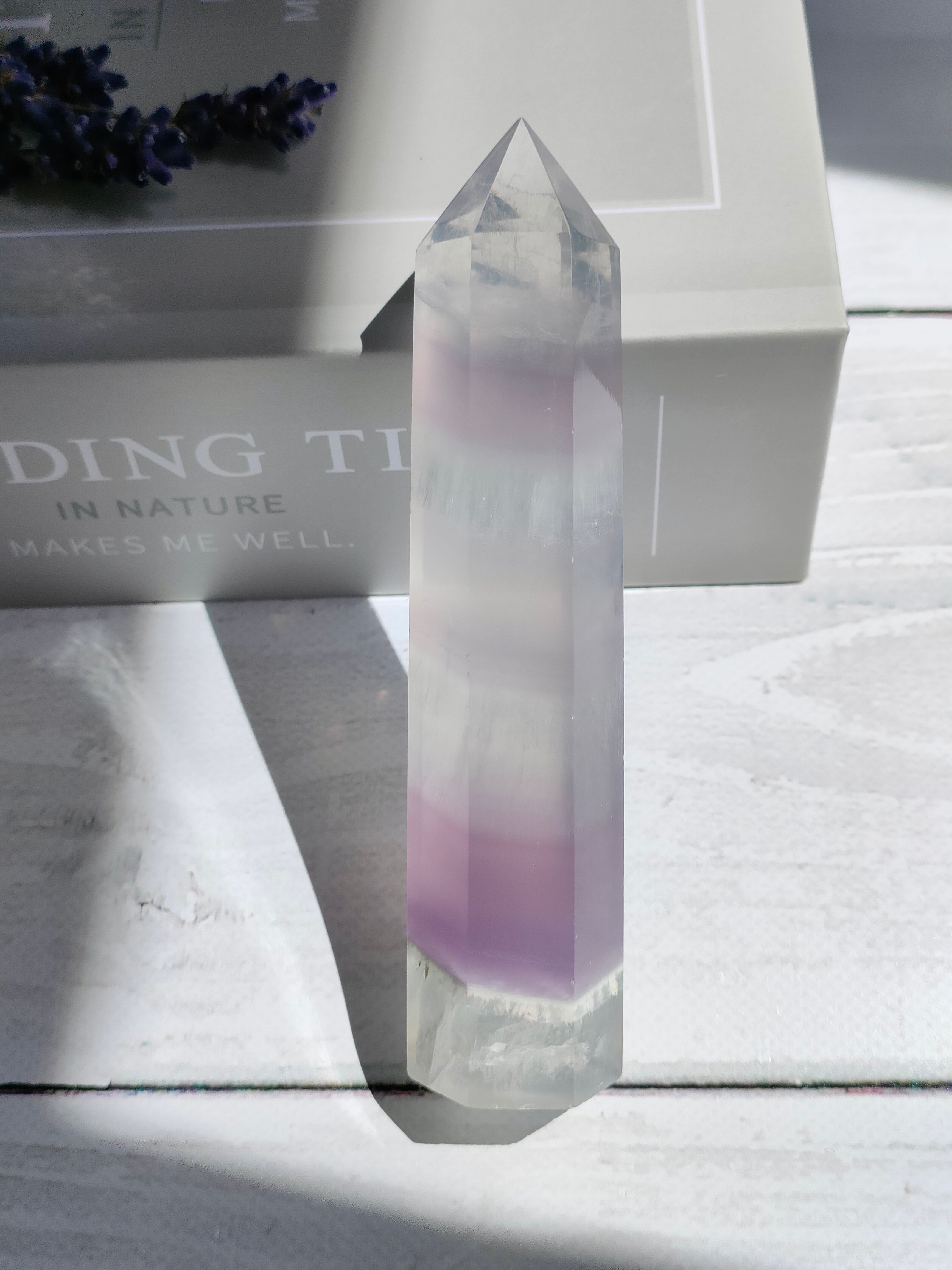 ラベンダーフローライトtower