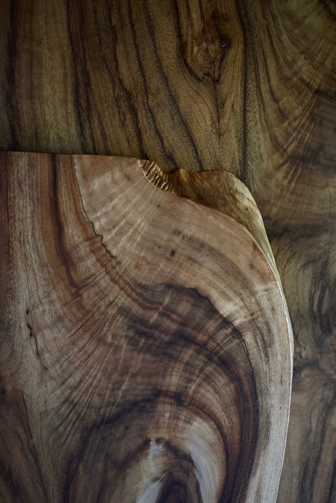 一枚板ダイニングテーブル 赤楠 -akagusu-