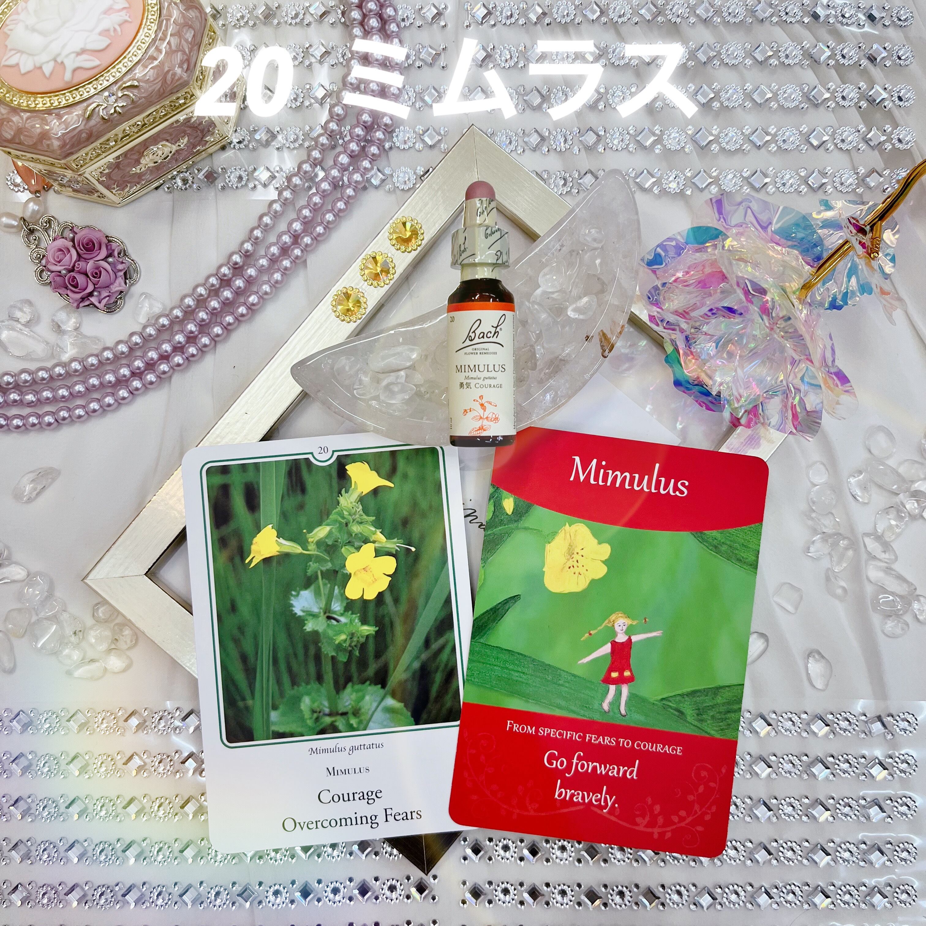 選べてお得なバッチフラワーレメディ 4本セット フラワーエッセンス