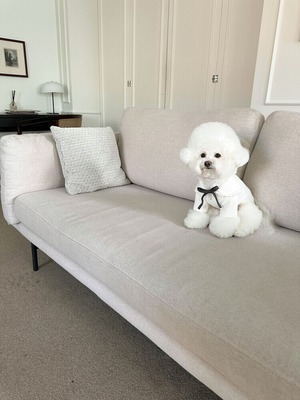 即納【chouchou&chourr】SAILOR WARMER KNIT (IVORY)