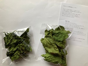 二種の桑の葉茶