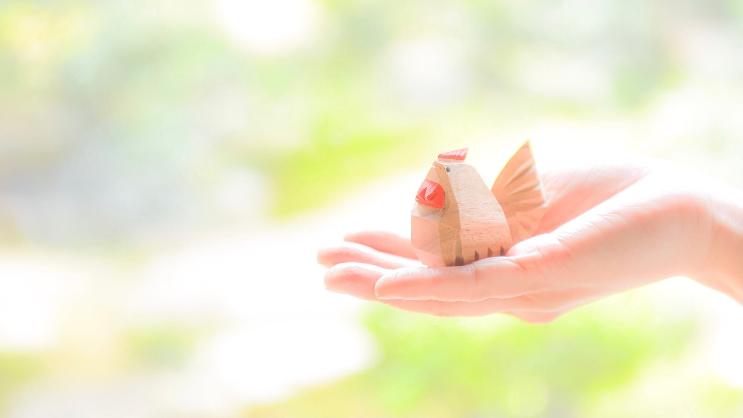 Mさま専用ページ