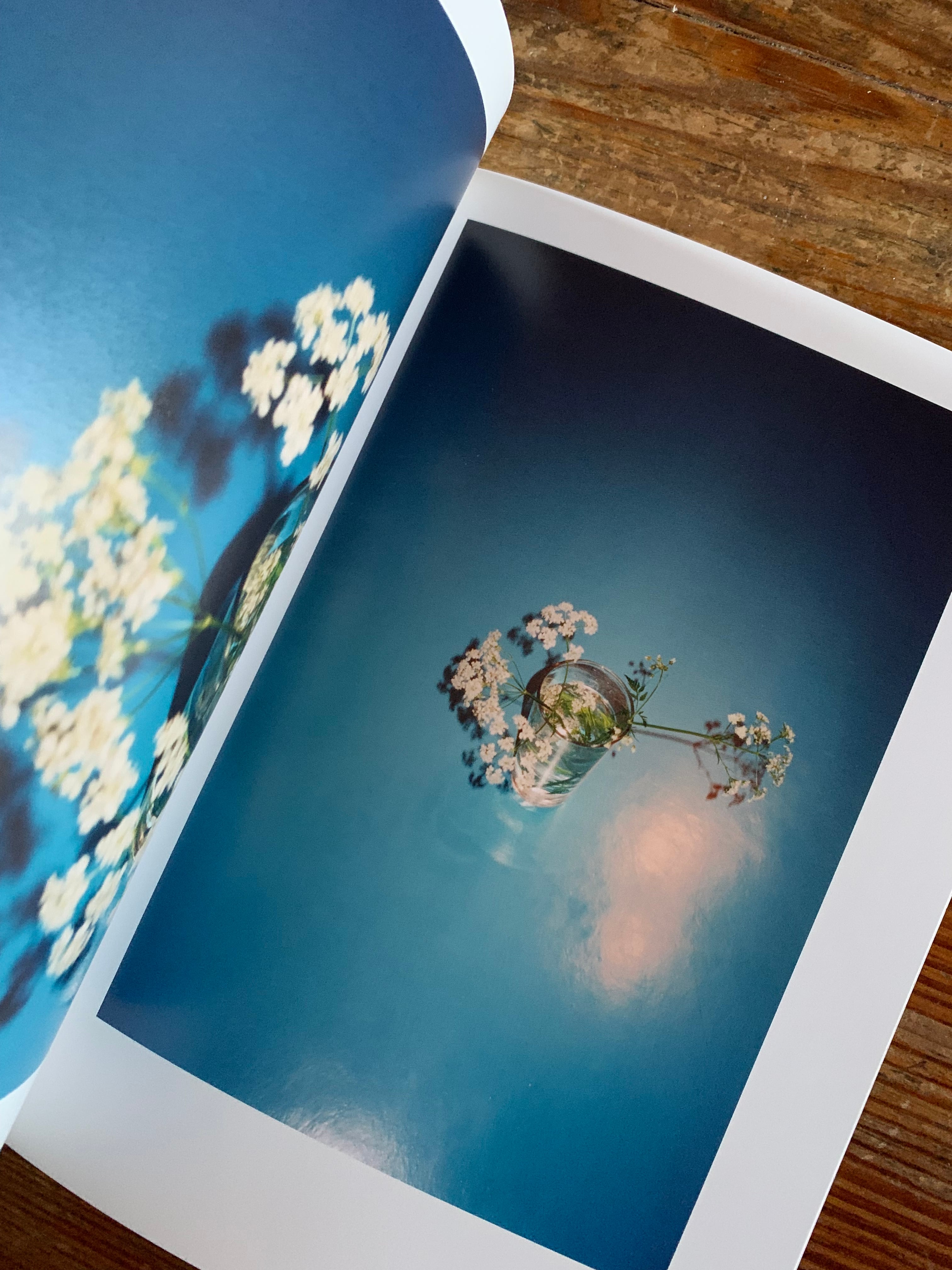 永瀬沙世『White Flowers』 | STANDARD BOOKSTORE