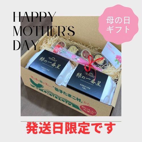 【Happy　Mother′s　Day】超早　母の日ギフト！！30％OFF【～3/31（日）までのご注文限定】　絶品たまごギフトセット【緑の一番星入りたまごプリン4個】＋【緑の一番星 6個】＋【選べるたまご６個】