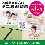 バルサン ダニよけ くん煙剤 寝具 ソファ カーペット にも (6~8畳用) 6ｇ /植物・精密機器カバー不要/バリア効果1ヶ月/(水始動タイプ)