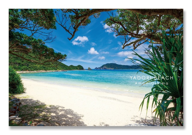 ★奄美ポストカード「YADORI BEACH」