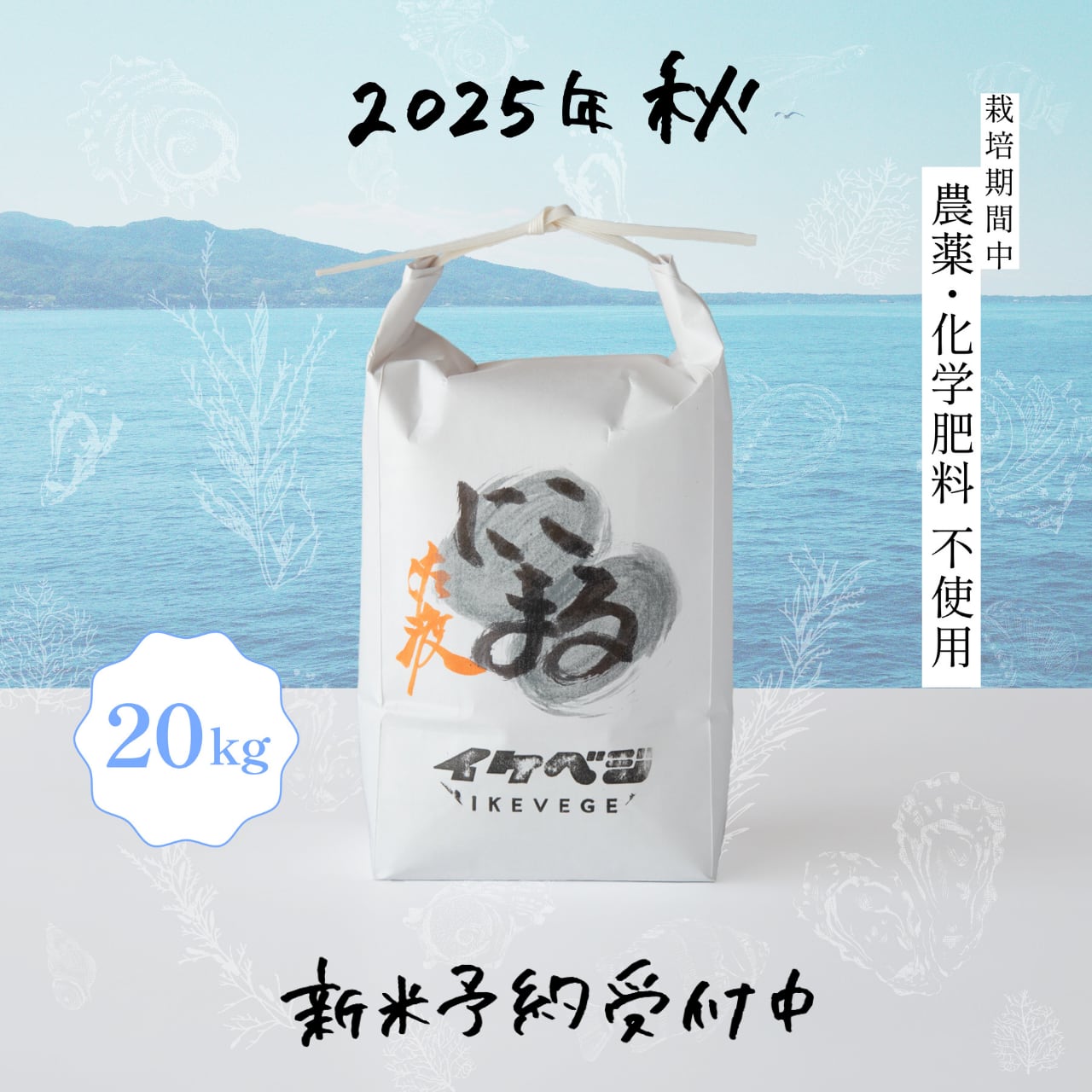 新米 あきさかり 無農薬 玄米20キロ お買い得品 新米 あきさかり 無