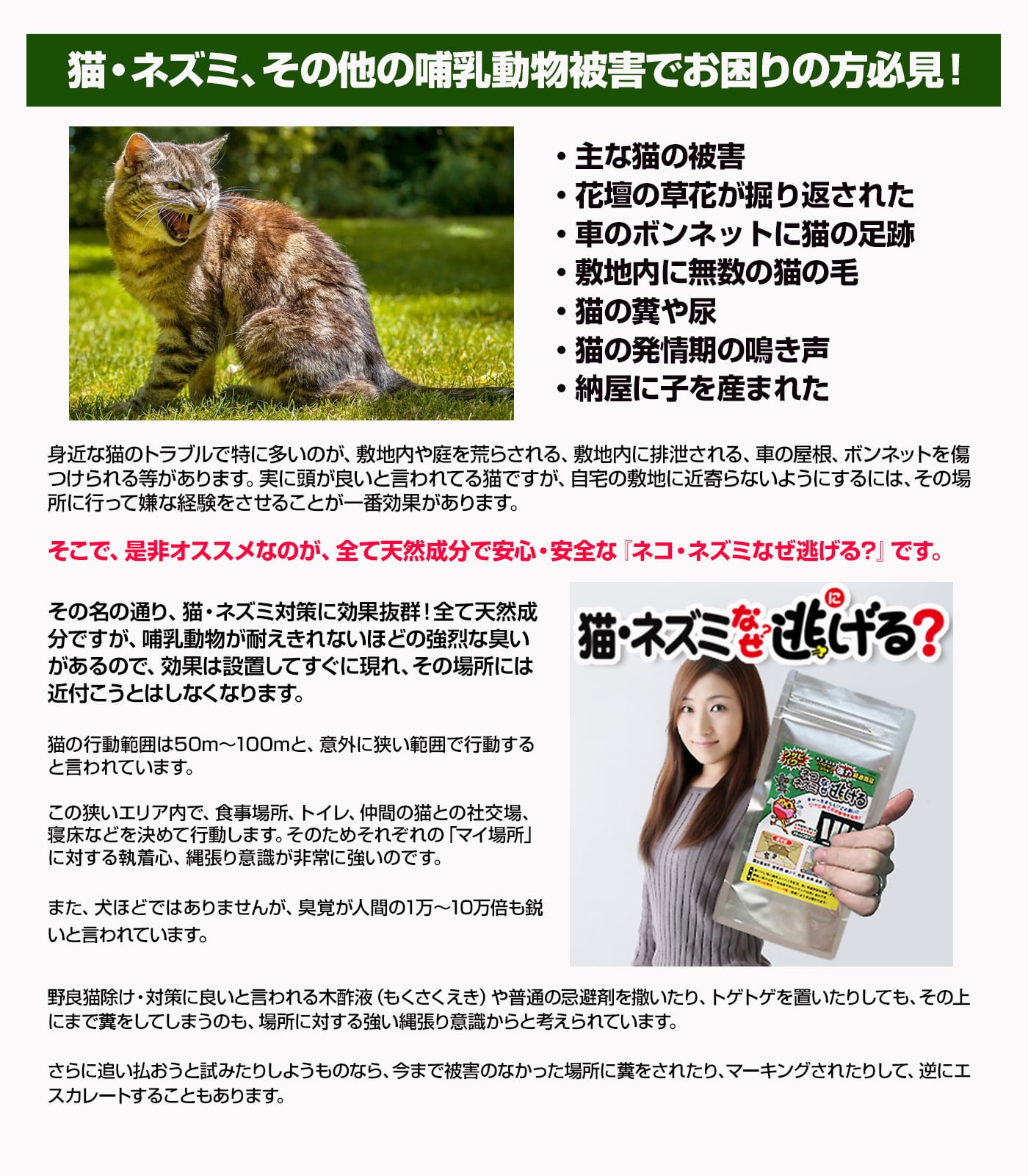 ネコ ネズミなぜ逃げる? 6個セット 強烈なニオイで猫・ネズミを撃退！ 天然素材食品添加物100％だから安心・安全  BENNIES（ベニーズ）生活雑貨オンラインショップ