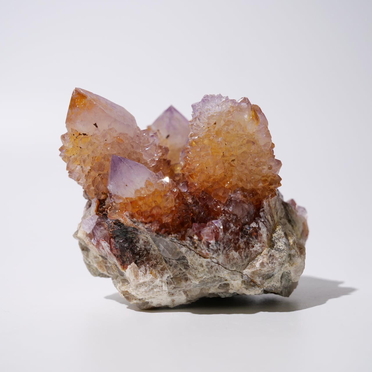 カクタス スピリット アメジスト アメシスト / 原石 標本【BIG_2