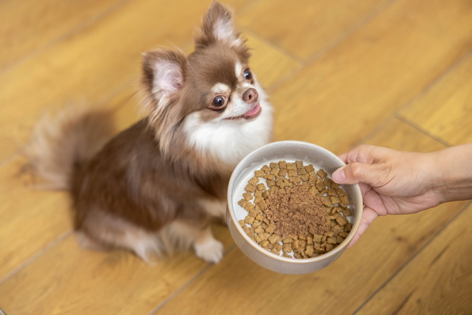 犬用】花畑牧場 エゾ鹿肉のふりかけ 30g | 花畑牧場 ヒューマン