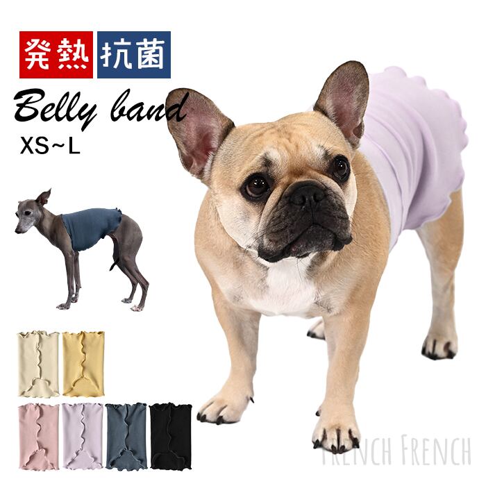 DearKM ❤︎フレンチブルドック孔明