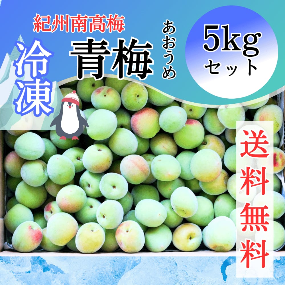 紀州南高梅 紀州南高梅 青梅 優品・良品 3L 10kg 送料込み 青梅