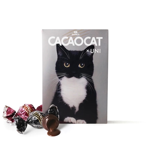 数量限定！完売！CACAOCAT ミックス 9個入り UNI