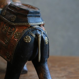 インドからやって来た、プリミティブな象 9