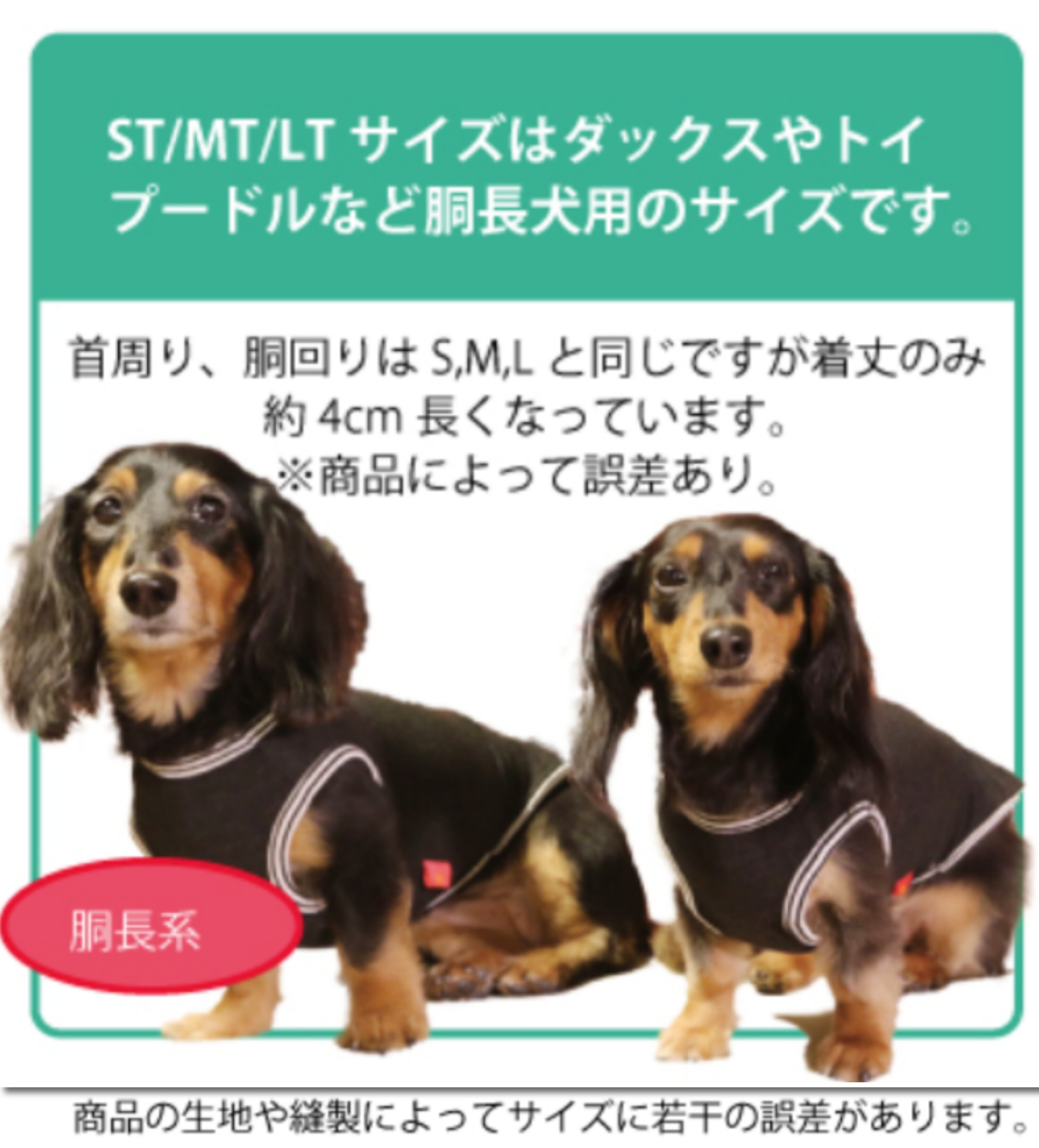 ペット用ダウン キラキラ ペア トイプードル サイズSS 犬首輪