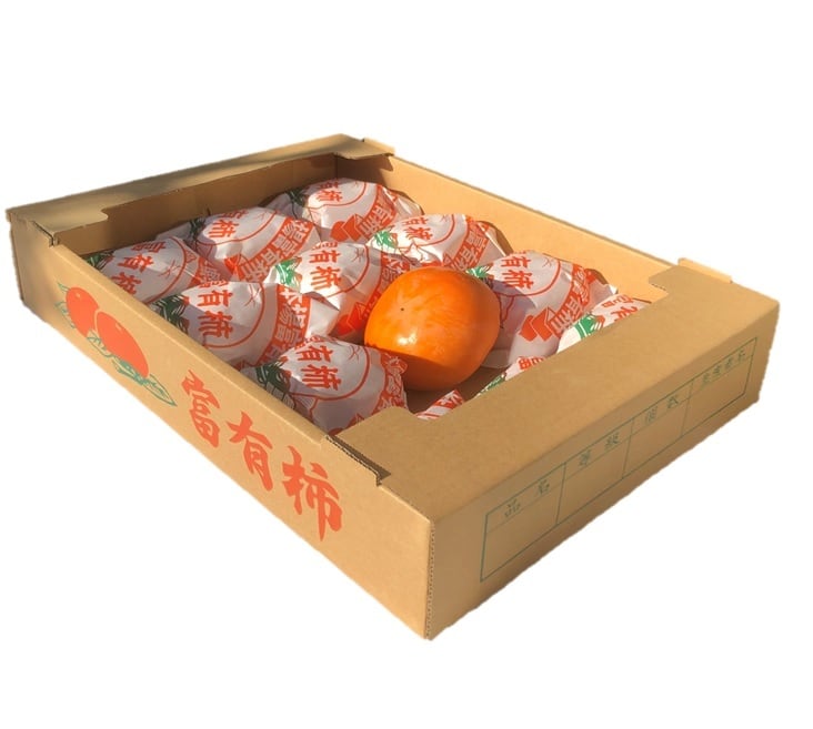 送料無料【贈答用】Lサイズ 2段28個 岐阜県産富有柿 | ぶらりっく